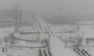 雪后的校園作文100