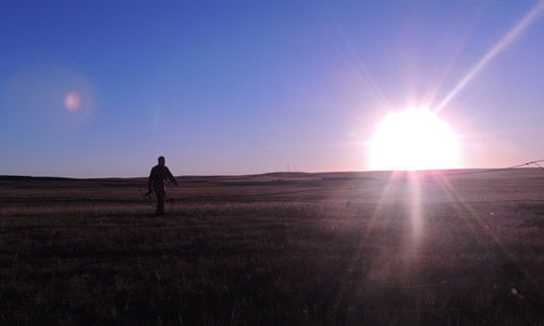 作文,日出,校園