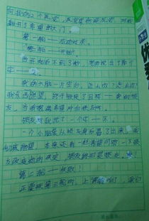 作文,給我們帶來,樓梯,啟示