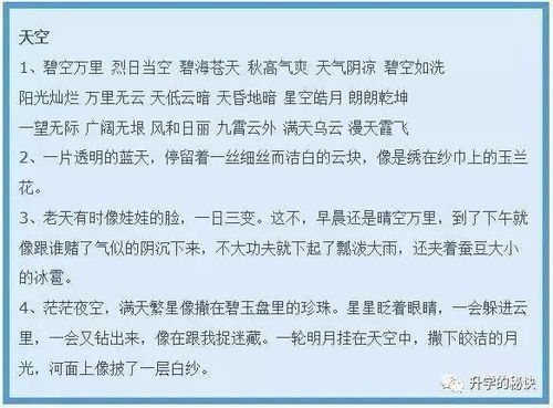 關于校園里的風景作文素材