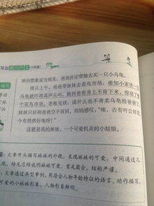 熟悉的校園作文三百字以上