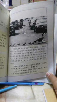 期中考試總結(jié)300字作文,校園個人總結(jié)300字,中考總結(jié)作文300字作文