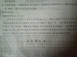 在校園的日子里作文600