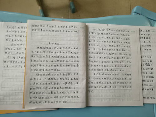 森林防火校園控?zé)熥魑膬?nèi)容