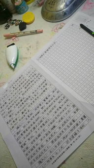 關(guān)于校園運(yùn)動會的新聞作文