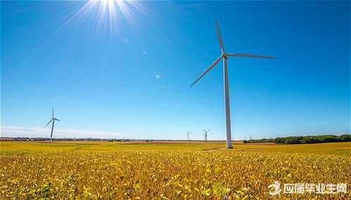 校園生活類作文700字