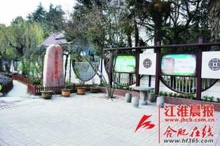 商埠街小學(xué)校園的一角作文