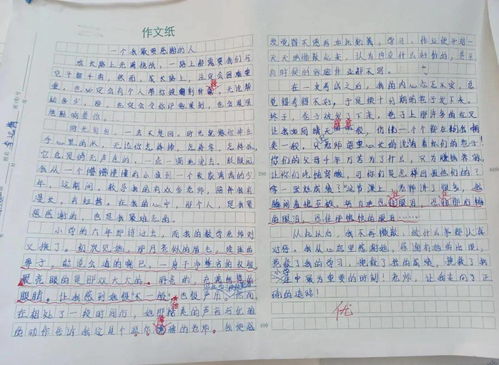 校園舉辦的活動(dòng)作文