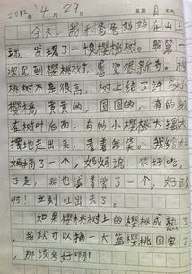 作文,校園,文明