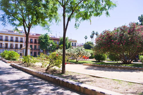 關(guān)于校園環(huán)境感受的作文