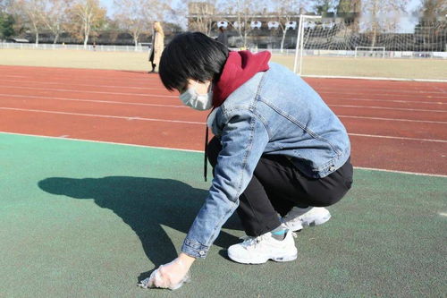 作文,在校,園里,垃圾