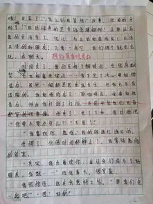 寫青島的中小學最美校園的作文