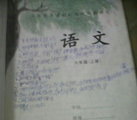 作文,和諧,校園