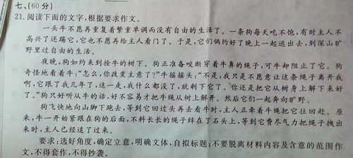 寫景,作文,散文,初中