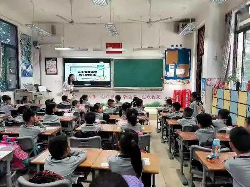 讓人工智能走進(jìn)校園作文