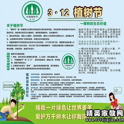 美麗的校園300字作文,美麗的校園國旗臺,美麗的校園400字作文