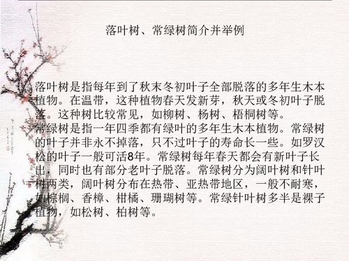 建文明校園樹文明校風作文議論文