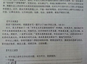 來自校園的溫暖作文800字