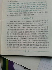 校園的一處風(fēng)景作文400字四年級,我的樂園校園四年級作文400字,校園里的花壇作文400字左右四年級