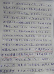 作文,描寫,小學生,校園