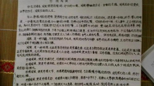 感恩老校園作文450字作文