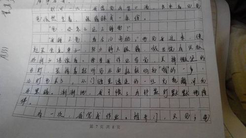 校園記憶作文初三700字作文