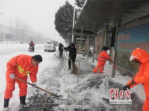 校園中最美的風(fēng)景作文
