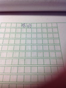 作文我的校園360字以上