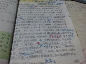 校園中的花作文30個(gè)字