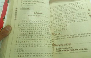 校園作文100個(gè)字左右作文大全