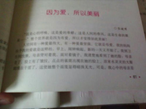 作文,六級,走進,校園