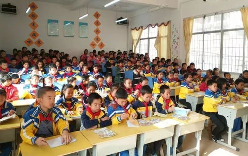 作文,真美,大賽,校園