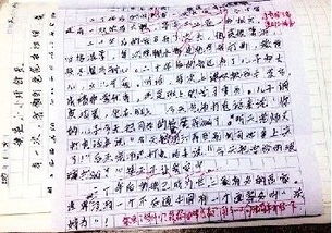 20后的校園這篇作文怎么寫