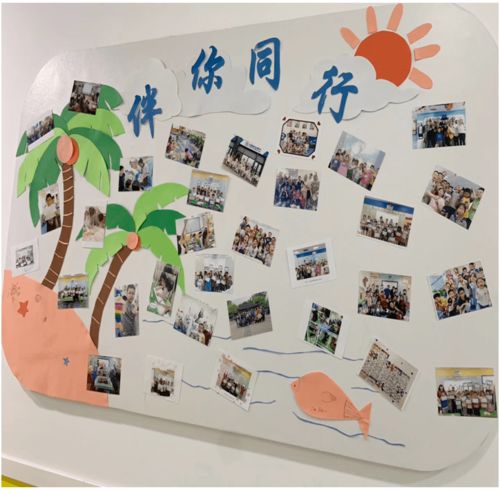 見證校園成長的作文