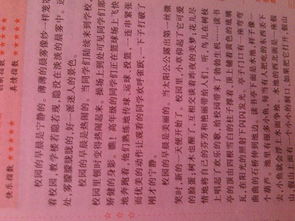 作文不一樣的校園500字