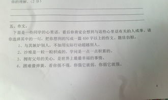 校園不道德現(xiàn)象作文抄襲