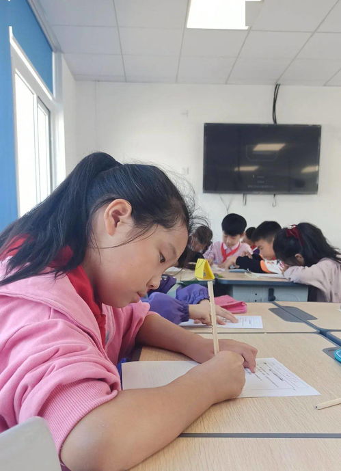 家庭校園社會(huì)系列作文