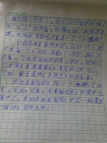 寫冬天校園的作文300字左右