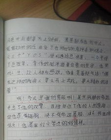 我的校園作文寫人300