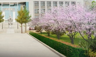 校園美景作文200字作文