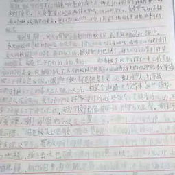 校園里的笑聲的作文1000字