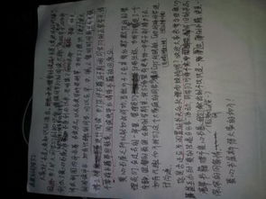 校園社區(qū)的愛心作文