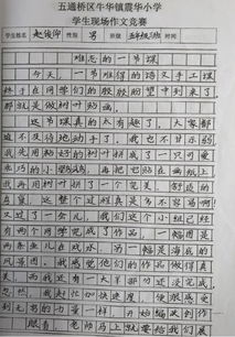 玩轉(zhuǎn)魔方作文,玩轉(zhuǎn)暑假作文,玩轉(zhuǎn)游樂場作文