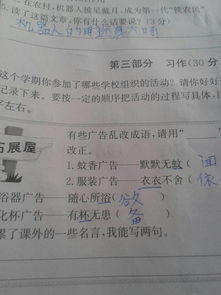 作文校園里組織的活動