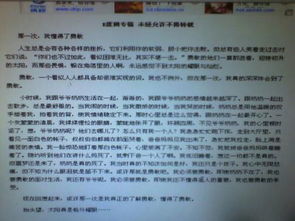 法治進(jìn)校園作文700字