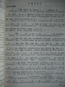 校園文明評(píng)點(diǎn)高中作文300字