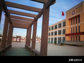 作文,小學(xué)生,美景,校園