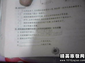 五級校園作文點(diǎn)評語