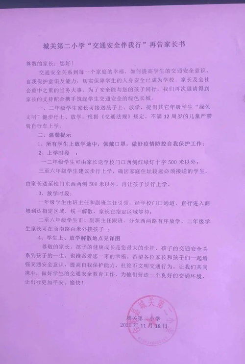 城關(guān)二小校園作文