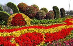 美麗的校園中心花壇作文400字